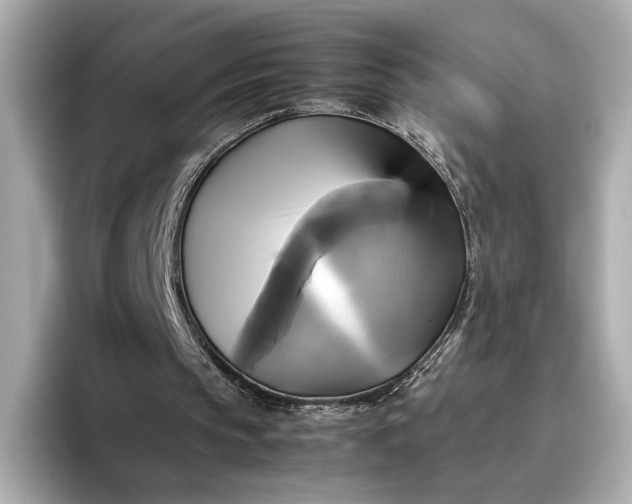 X0000095120145200712211316