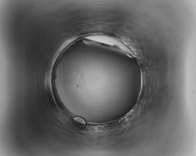 X0000095120147200712211316