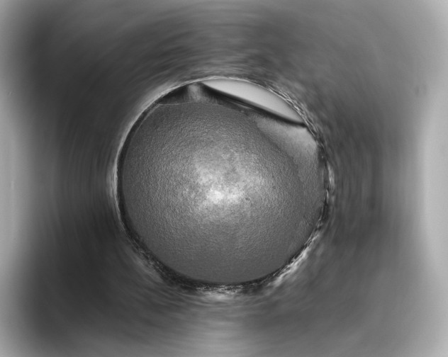 X0000095120148200712211316