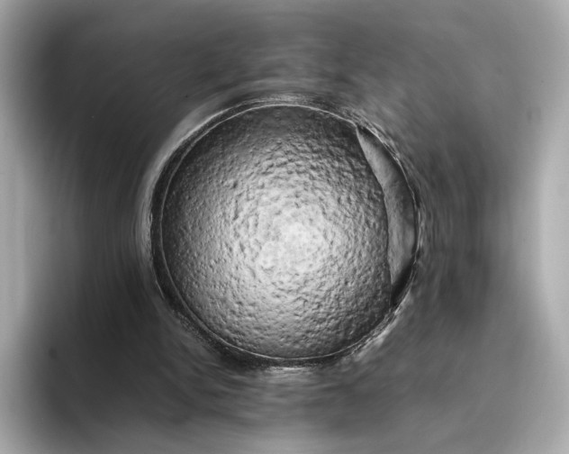 X0000095120150200712211316