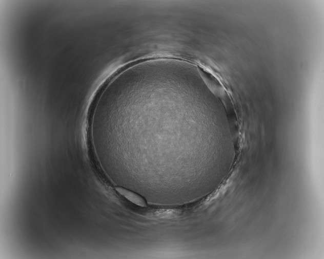 X0000095120152200712211317