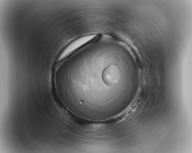 X0000095120154200712211317