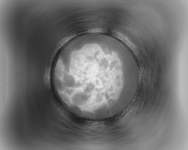 X0000095120155200712211317