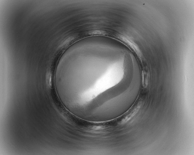 X0000095120157200712211317