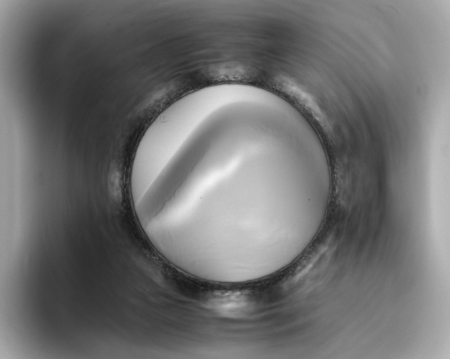 X0000095120161200712211317