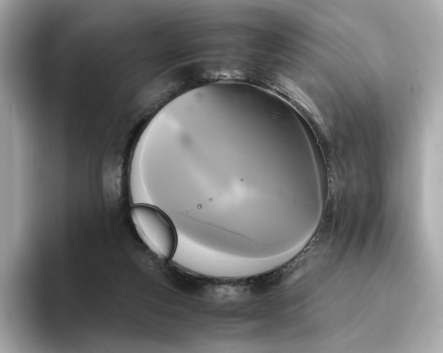 X0000095120163200712211317