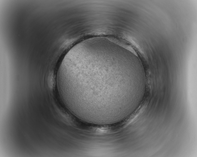 X0000095120164200712211317