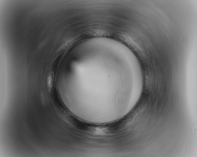 X0000095120165200712211317