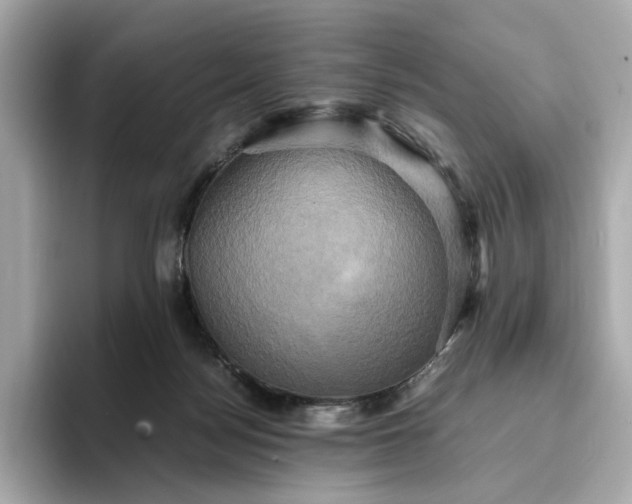 X0000095120172200712211317