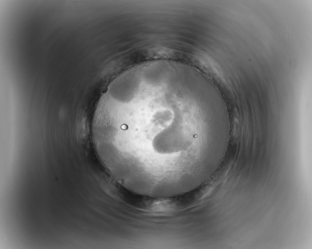 X0000095120173200712211317