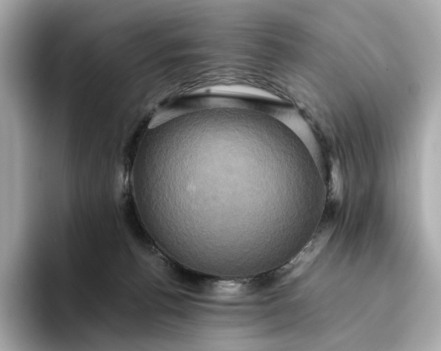 X0000095120176200712211317