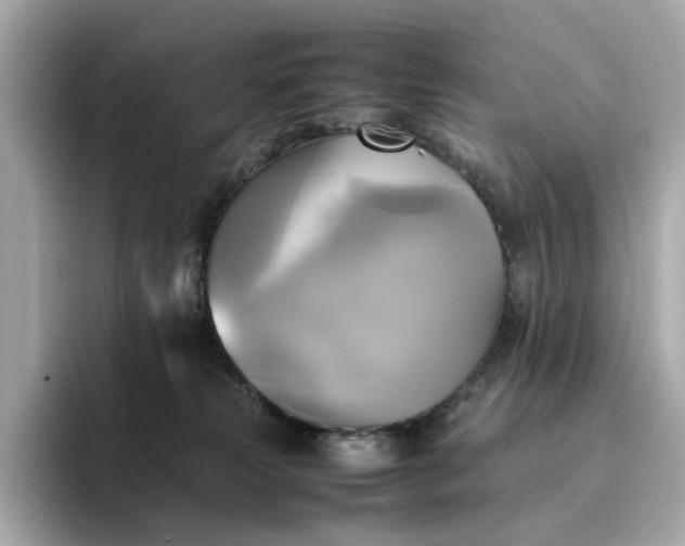 X0000095120181200712211317