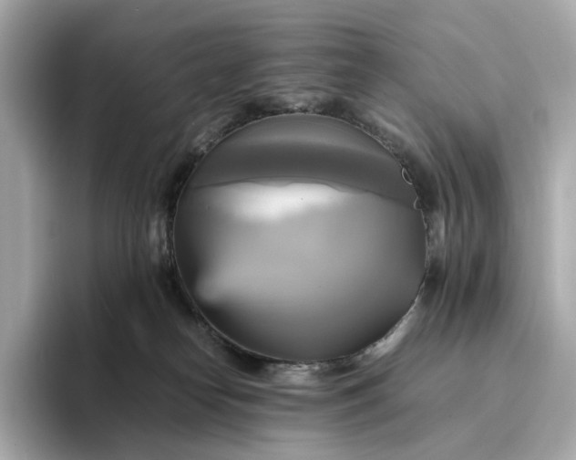 X0000095120182200712211317