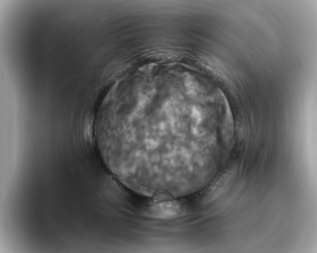 X0000095120185200712211317