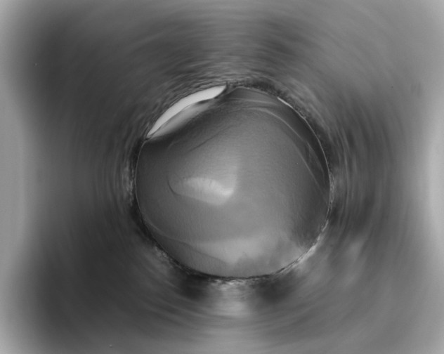 X0000095120186200712211317