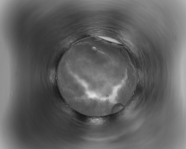 X0000095120189200712211317