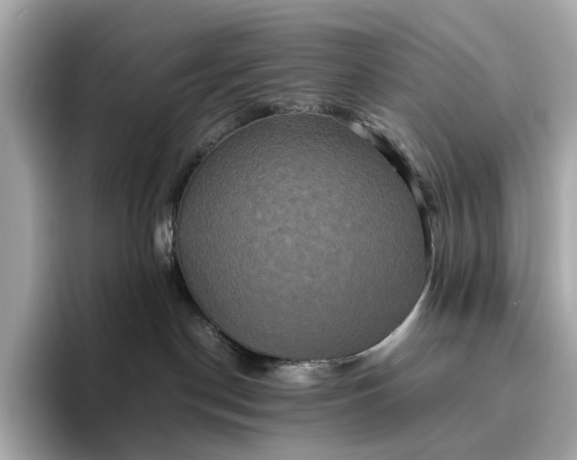 X0000095120190200712211317