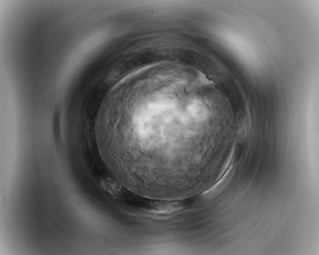 X0000095120191200712211317