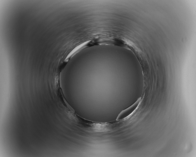 X0000095120192200712211317