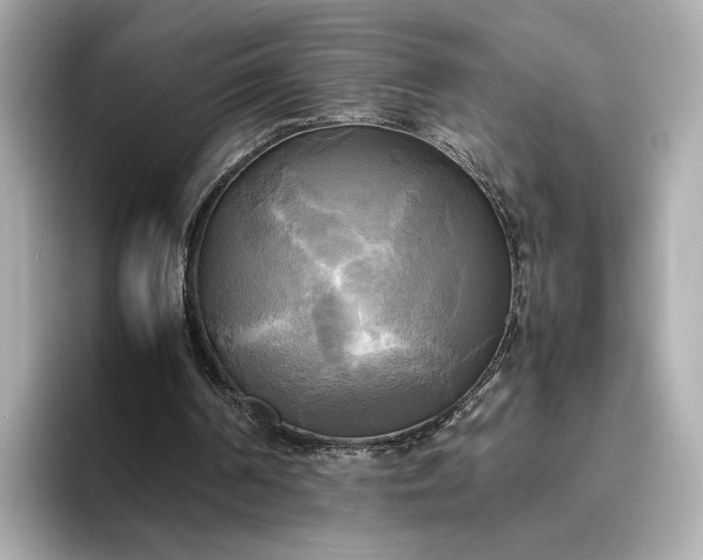 X0000095120194200712211316