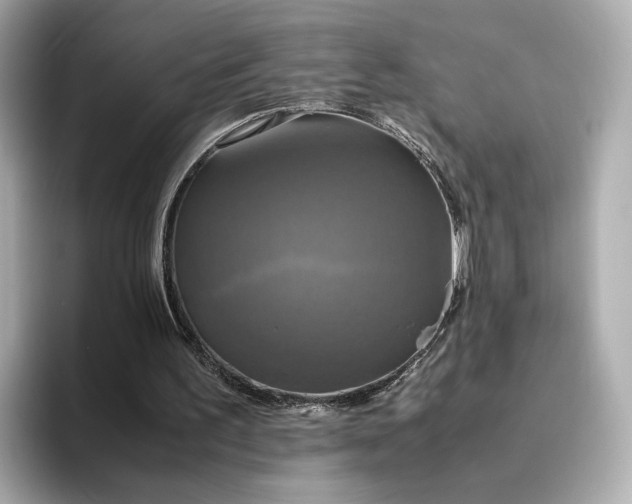 X0000095120195200712211316