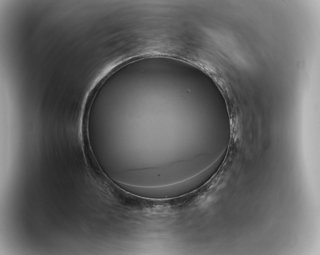 X0000095120196200712211316