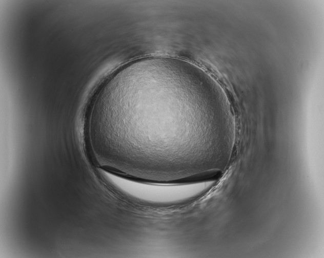 X0000095120197200712211316