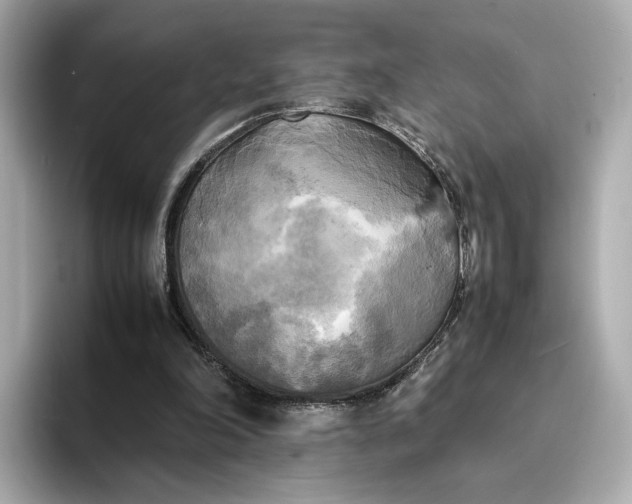 X0000095120198200712211316