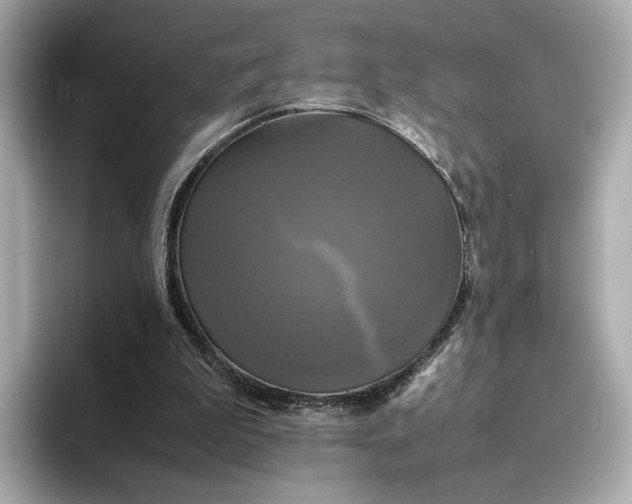 X0000095120199200712211316