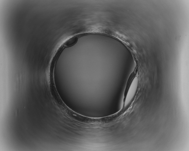 X0000095120200200712211316