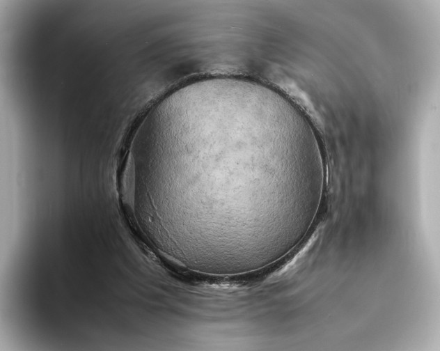 X0000095120201200712211316