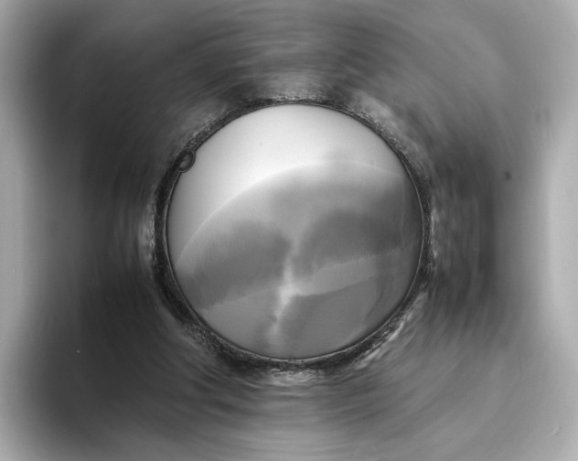 X0000095120202200712211316