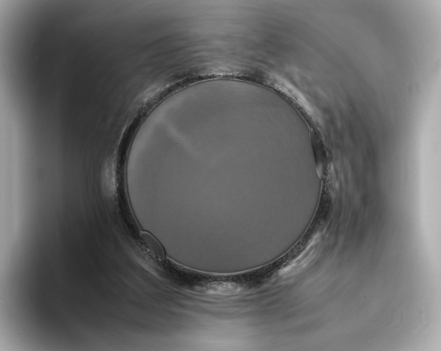 X0000095120203200712211316