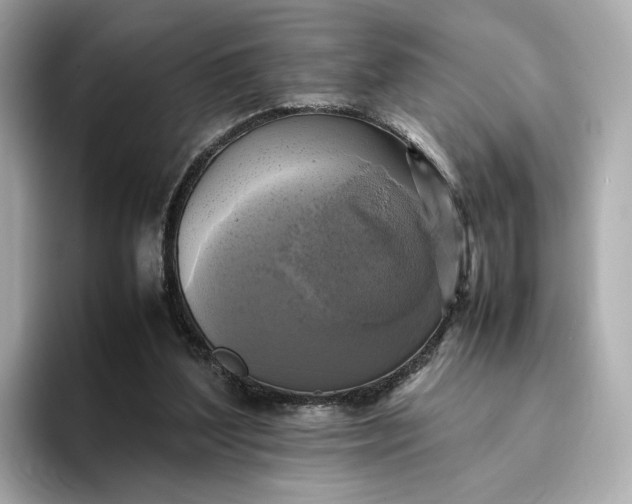 X0000095120204200712211316