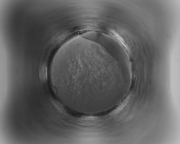 X0000095120205200712211316