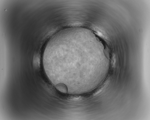 X0000095120206200712211316