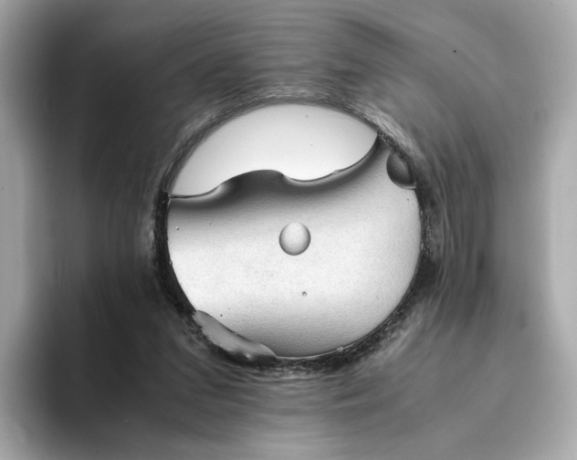 X0000095120207200712211316