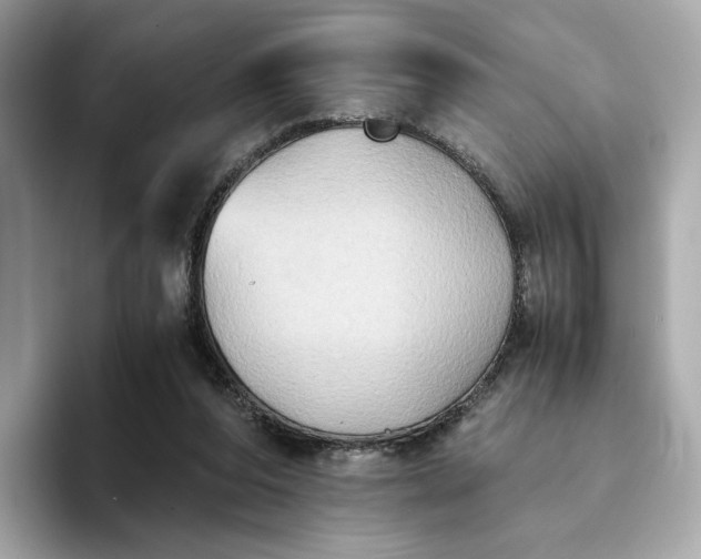 X0000095120208200712211316