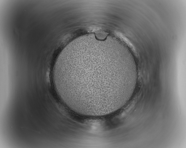 X0000095120209200712211316