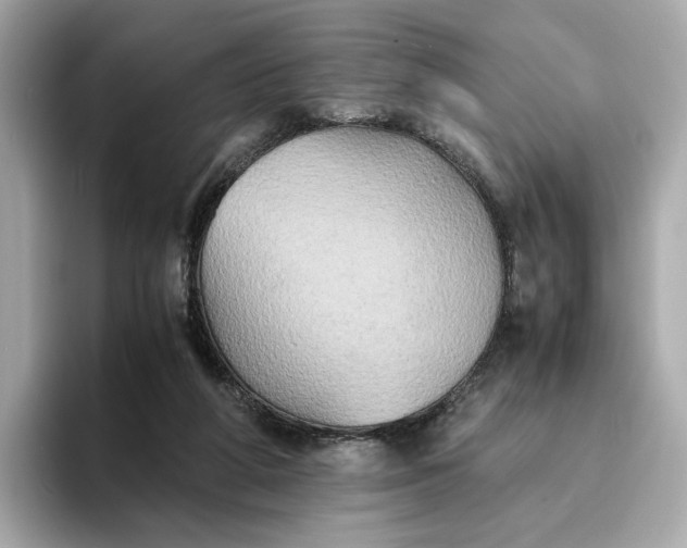 X0000095120210200712211316