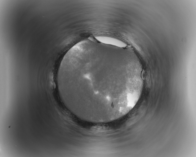 X0000095120211200712211316