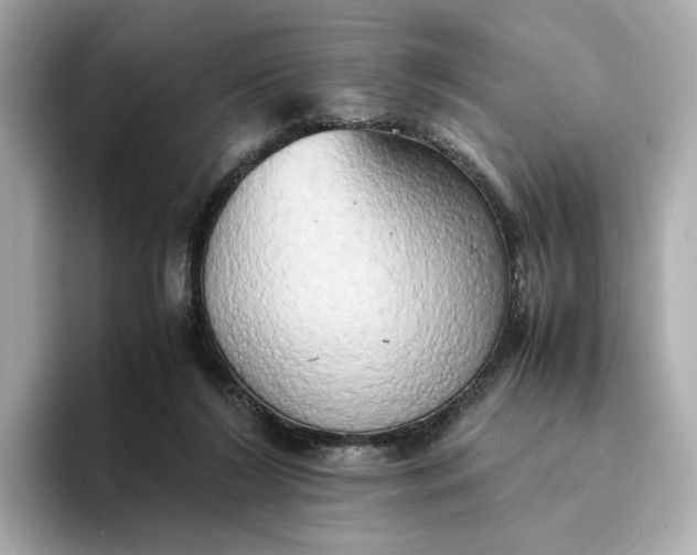 X0000095120212200712211316