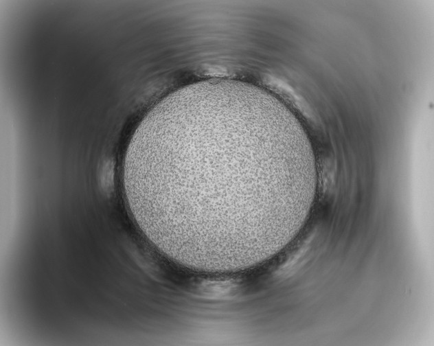 X0000095120213200712211316