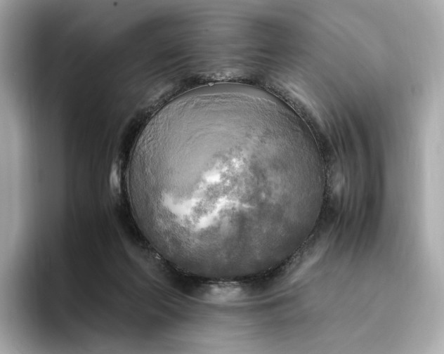 X0000095120214200712211316