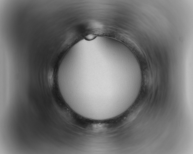 X0000095120216200712211316