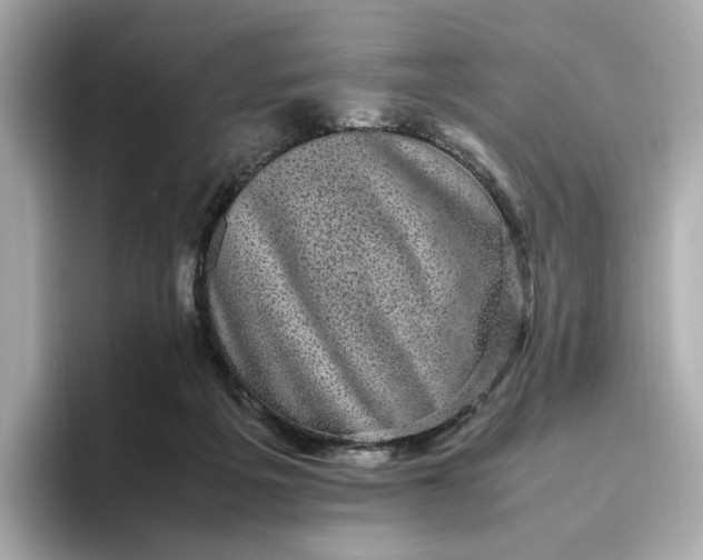 X0000095120217200712211316