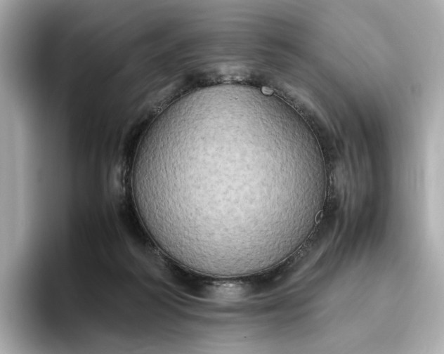 X0000095120218200712211316