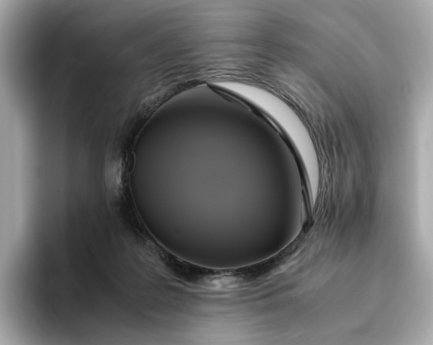 X0000095120219200712211316