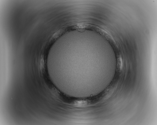 X0000095120220200712211316