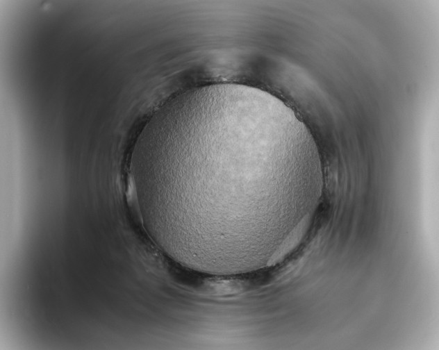 X0000095120221200712211316